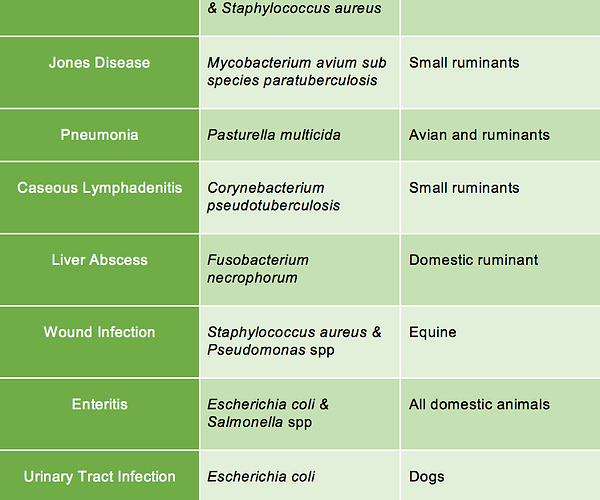 Antibiotic Resistance and Biofilms
