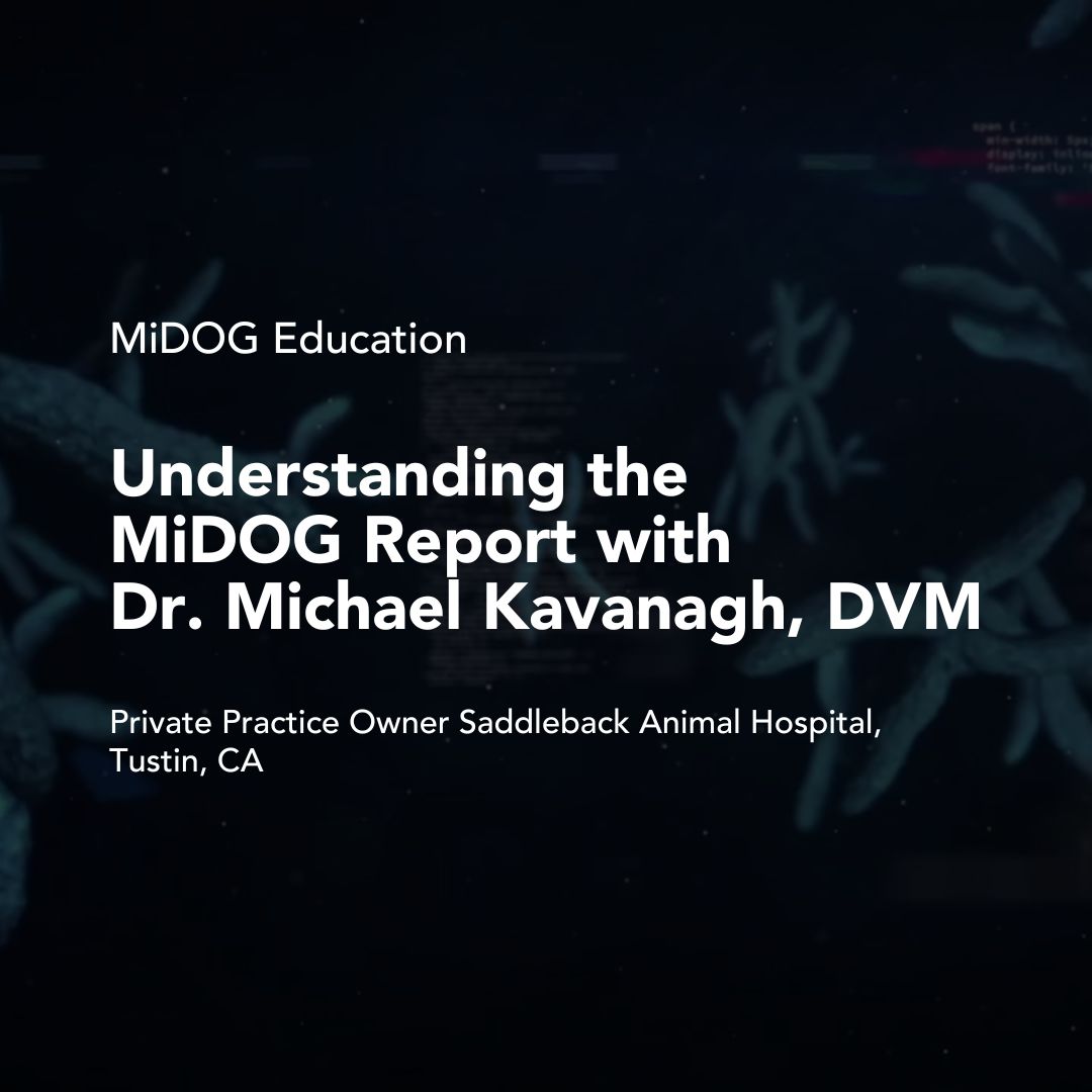 How to Read the MiDOG Report: Dr. Michael Kavanagh Breaks It Down for ...