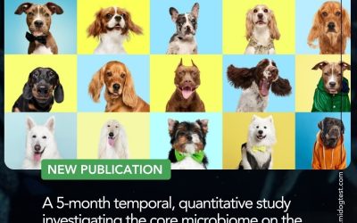 A 5-month temporal, quantitative study investigating the core microbiome on the axilla, umbilical region, and groin of 15 healthy dogs in the UK