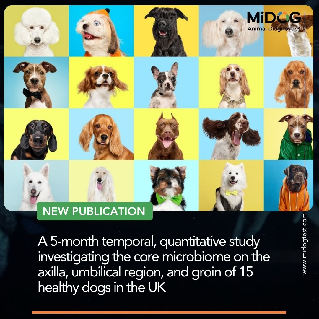 A 5-month temporal, quantitative study investigating the core microbiome on the axilla, umbilical region, and groin of 15 healthy dogs in the UK