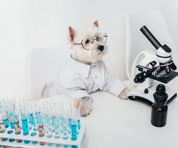 Next-Gen Sequencing is an important diagnostic tool for veterinarians.