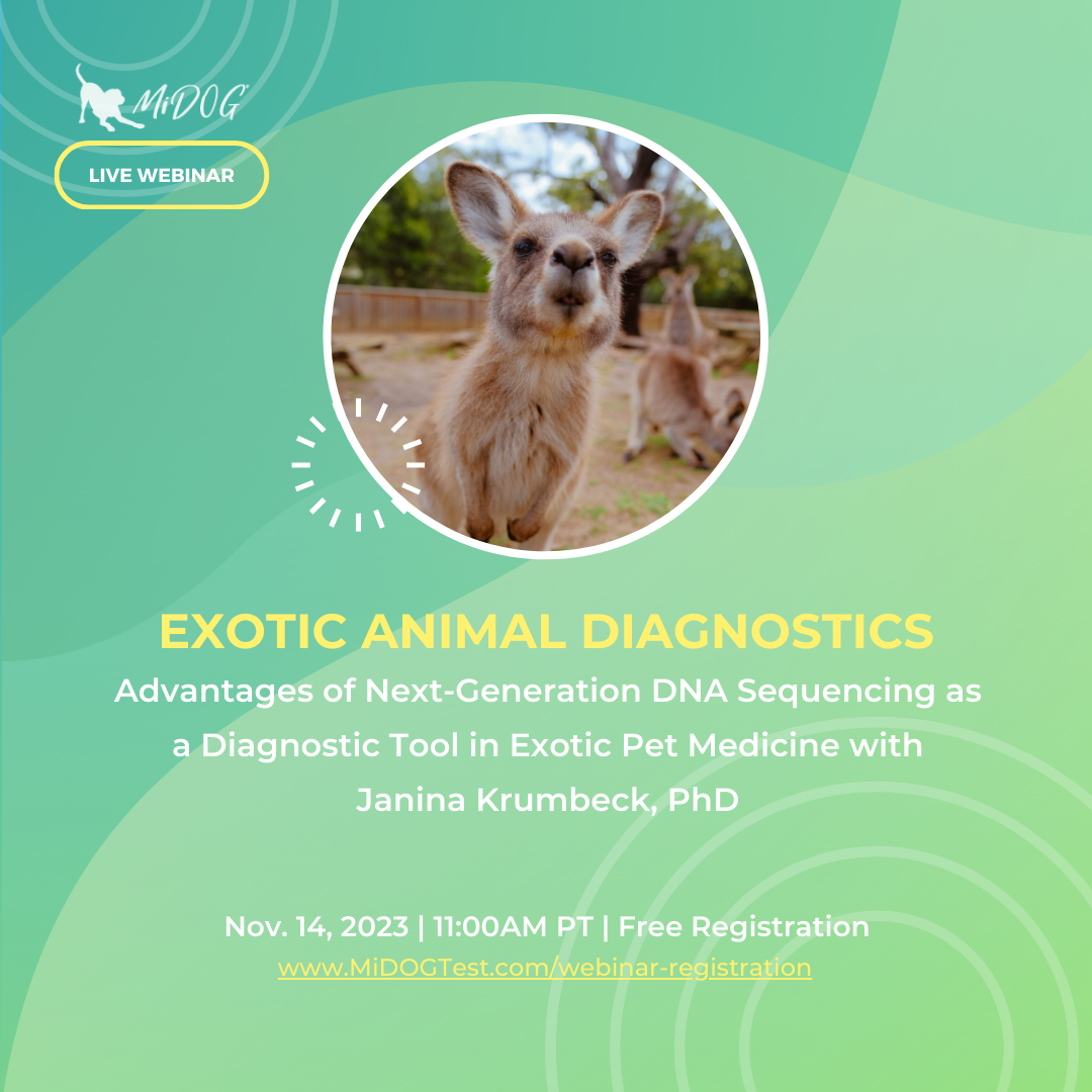 MiDOG Webinar for Exotic Veterinarians