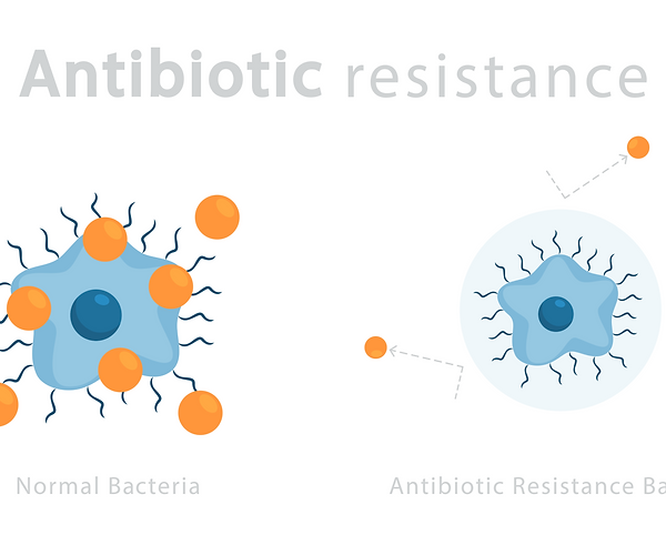 antibiotic resistance