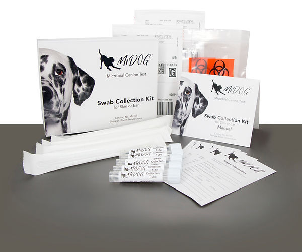 The MiDOG Swab Collection Kit can diagnose your chameleon's bacterial and fungal infections.
