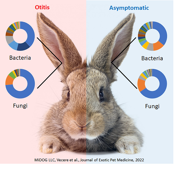 MiDOG publication highlighting the microbiome in bunny ears!