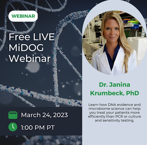 live midog webinar with janina krumbeck