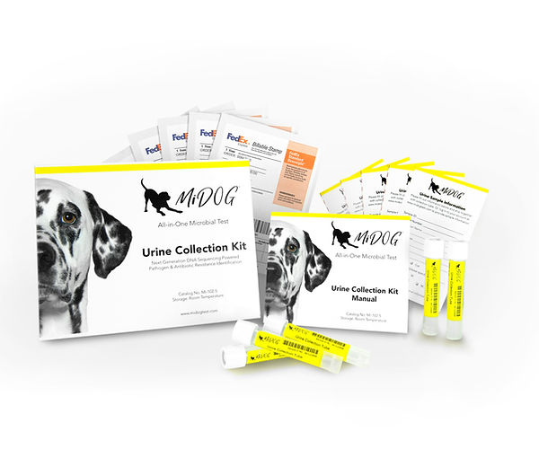 midog urine collection kit