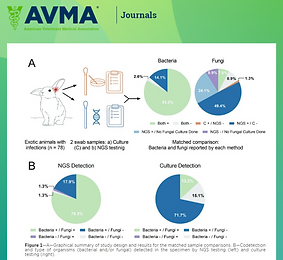 midog publication avma