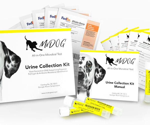 the midog all in one collection kit shown with it's components
