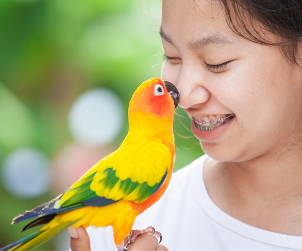 MiDOG technology can help diagnose your pet bird's bacterial infection.