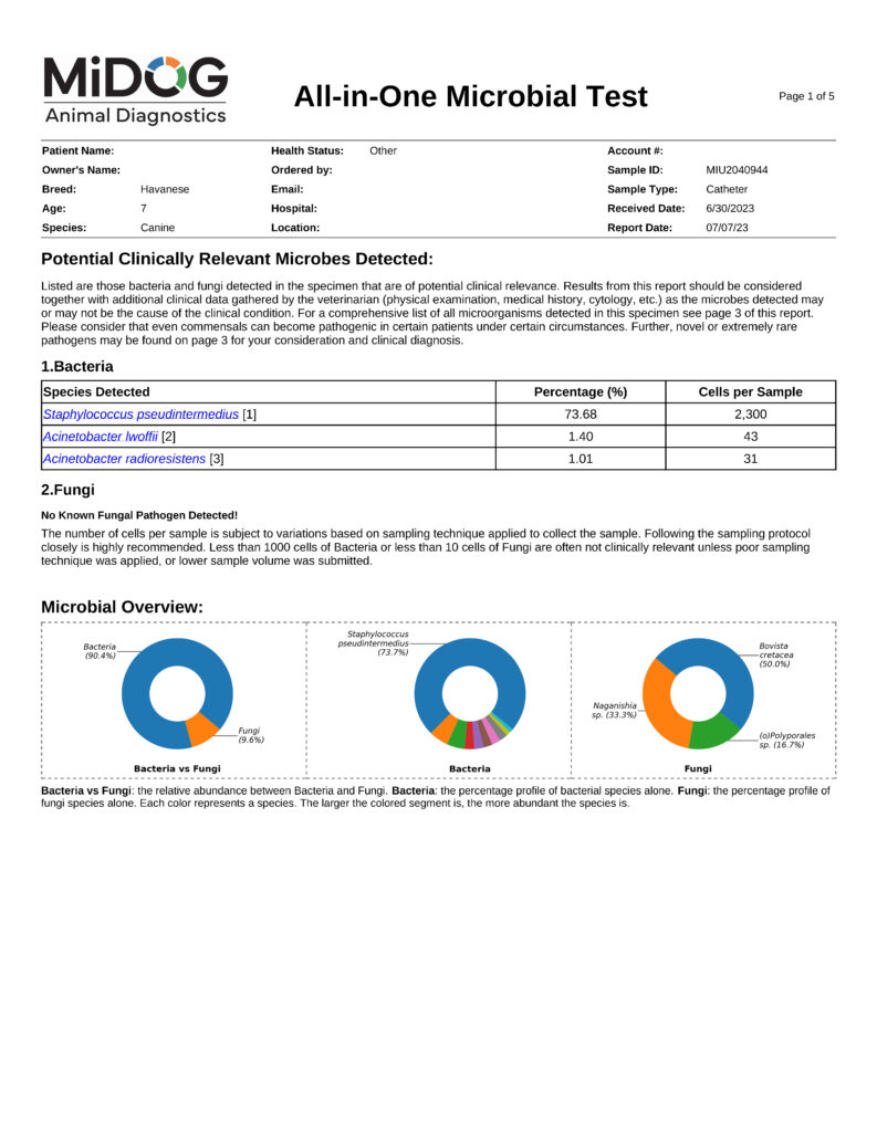 midog example report all in one microbial test