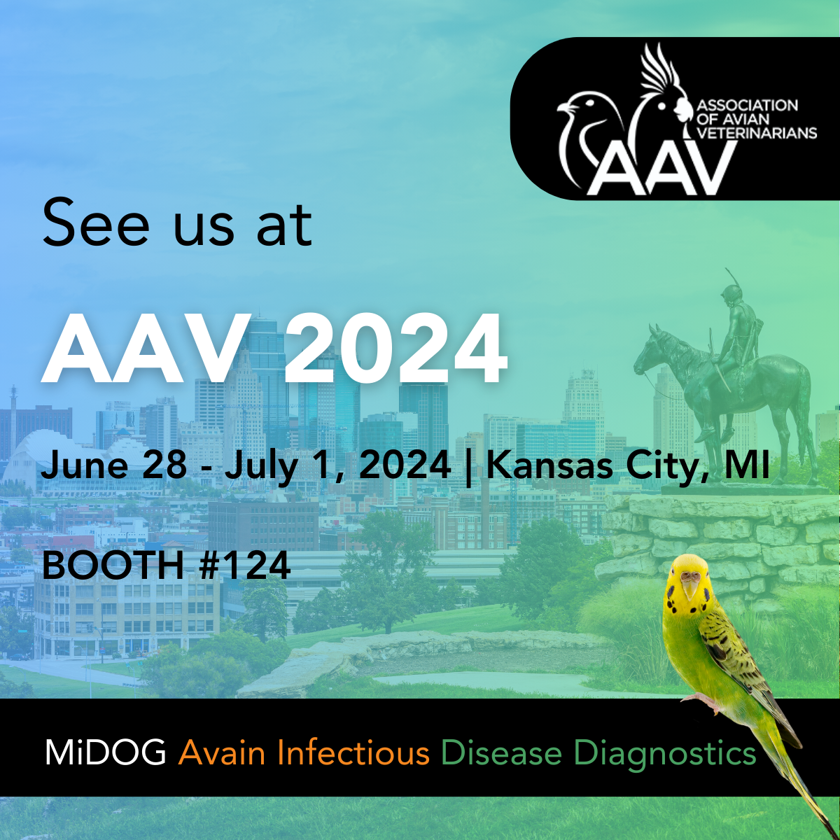 midog at aav 2024