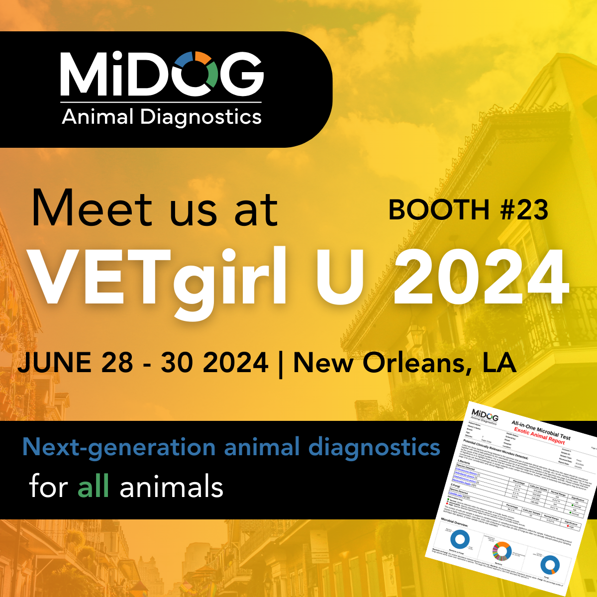 midog vetgirl