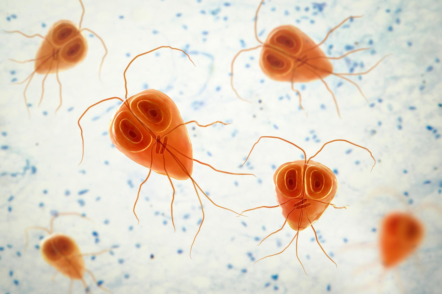 Silhouette of a dog surrounded by digital network lines and data points representing advanced microbial sequencing and expanded diagnostic testing for veterinary infections.
