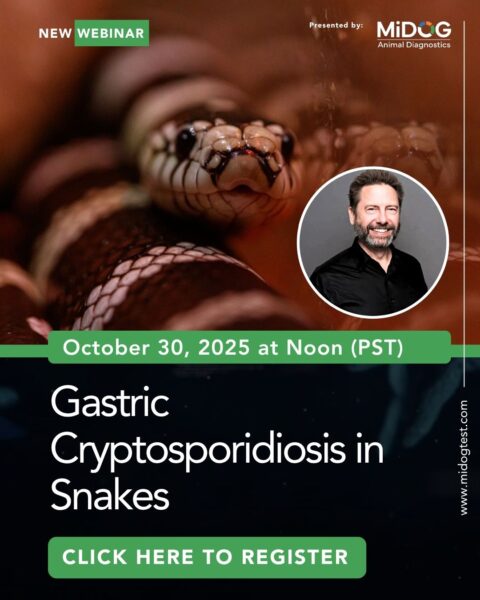 Dr James Bogan Webinar: Gastric Cryptosporidiosis in Snakes