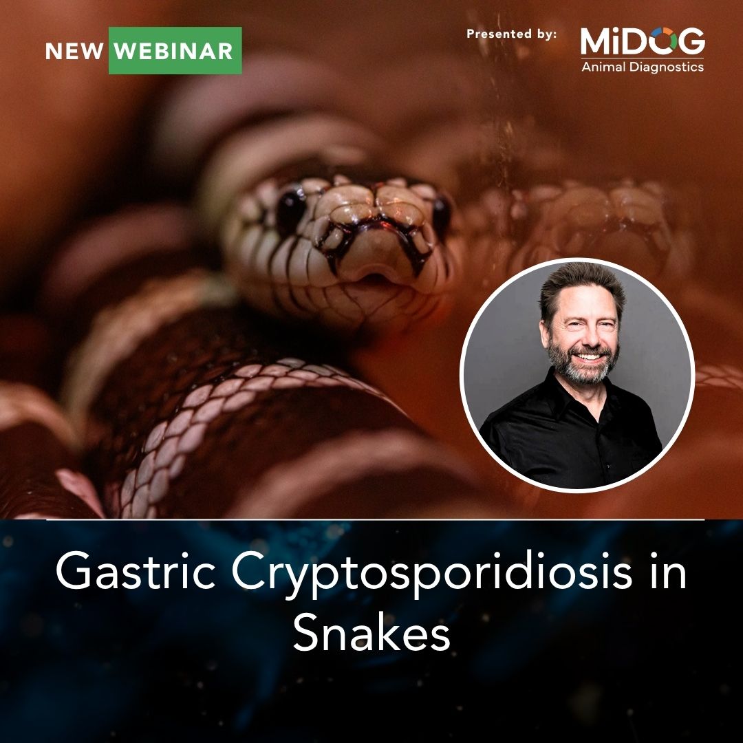 Gastric Cryptosporidiosis in Snakes with Dr. James Bogan