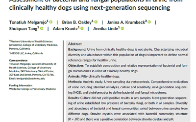 MiDOG Publication in JVIM