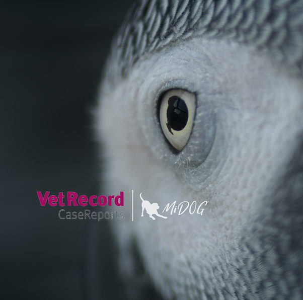 864e47_0df10665574447d6826e4a8f87e6f566~mv2(1)