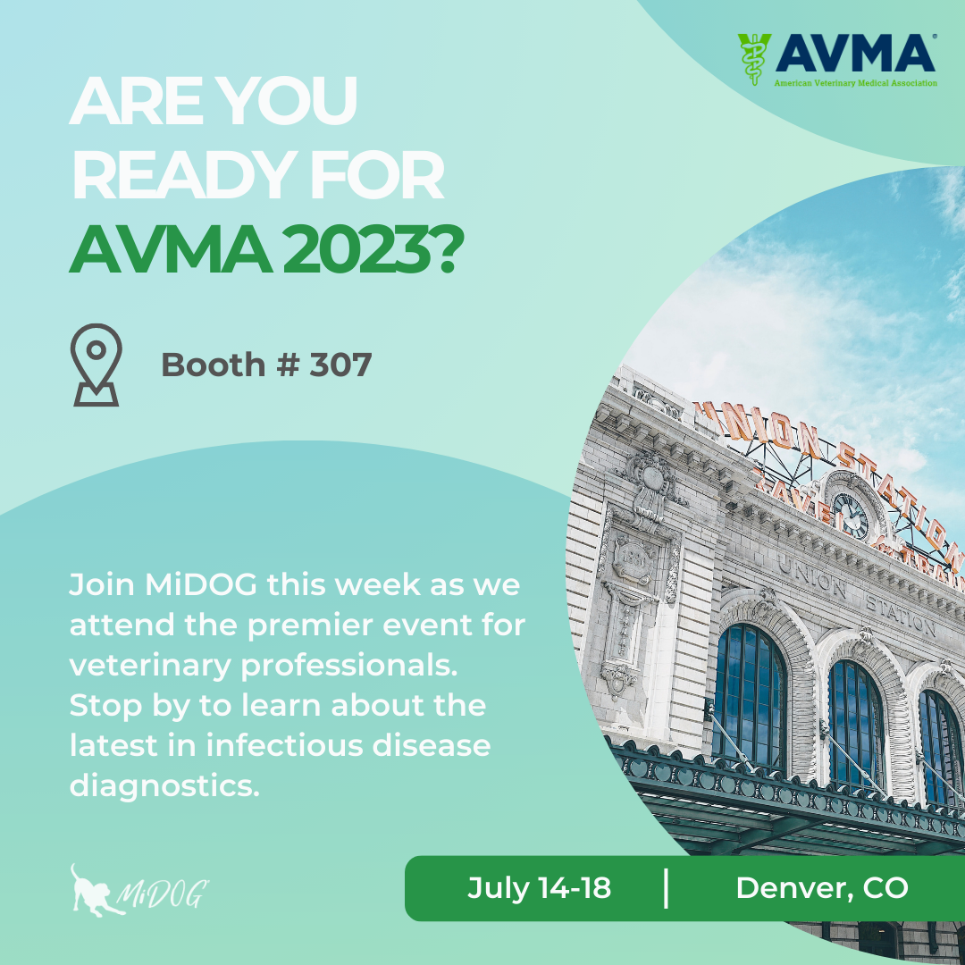 midog avma 2023