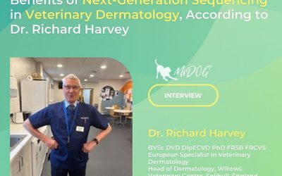 Interview with Dr. Richard Harvey