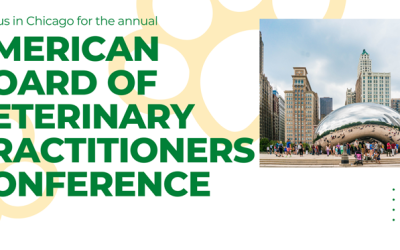 Get Ready for ABVP and Meet the MiDOG Team