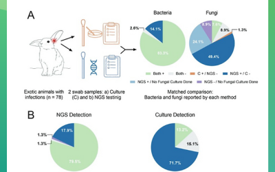 New publication in the AVMA Journals!