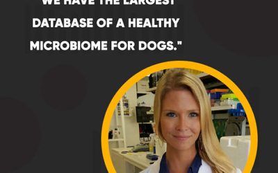 Innovative Approach to Animal Disease Diagnostics