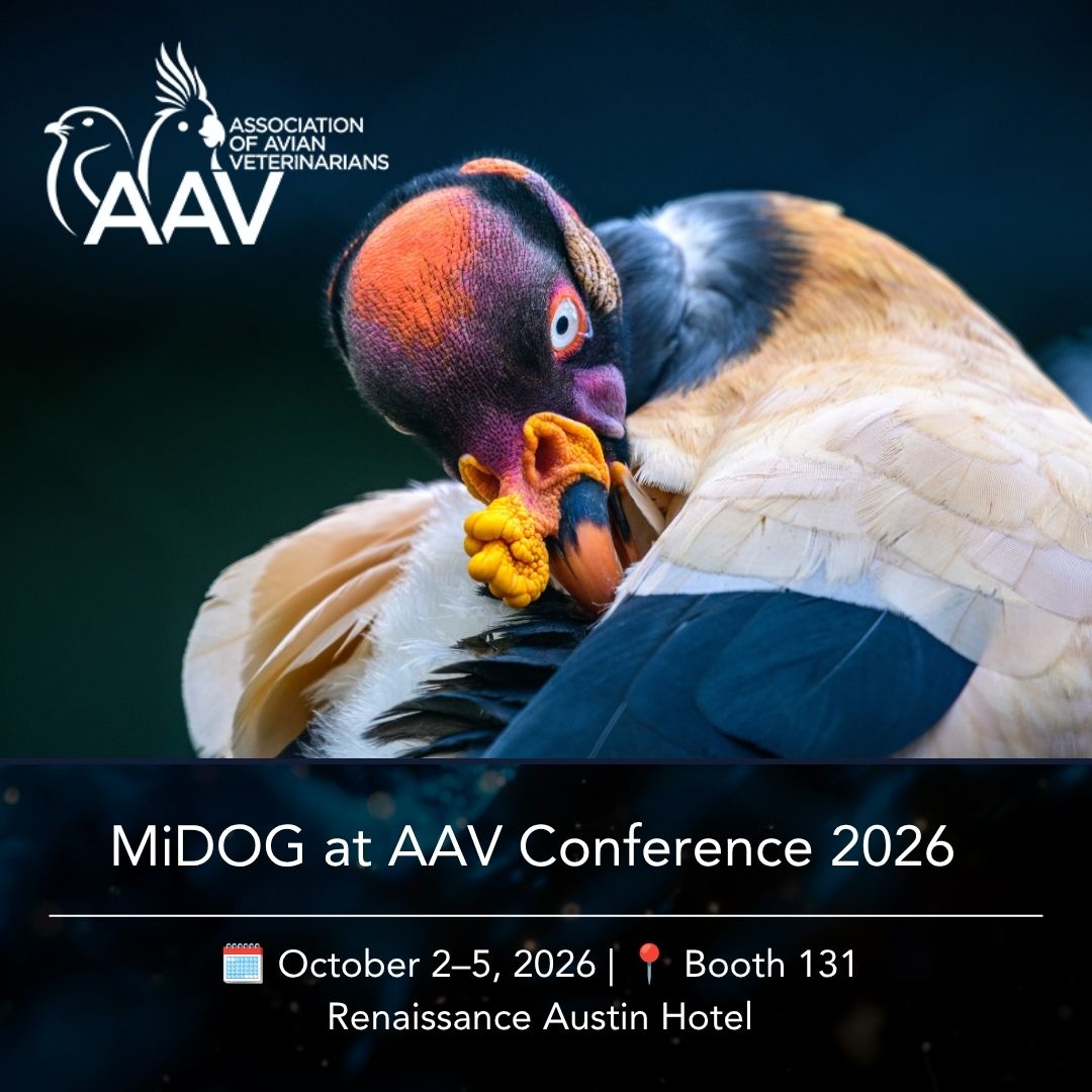 MiDOG at AAV Conference 2026