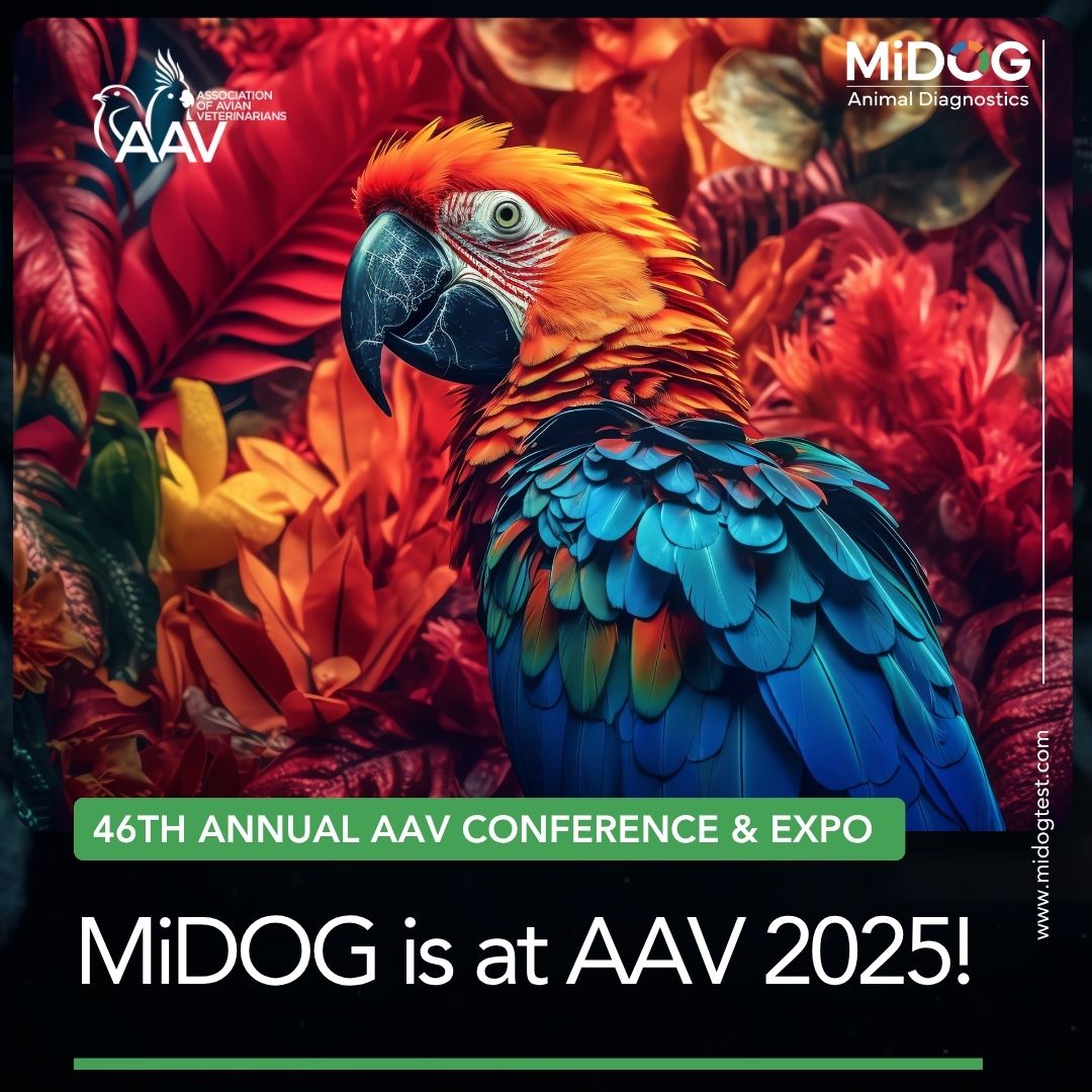 MiDOG at AAV 2025
