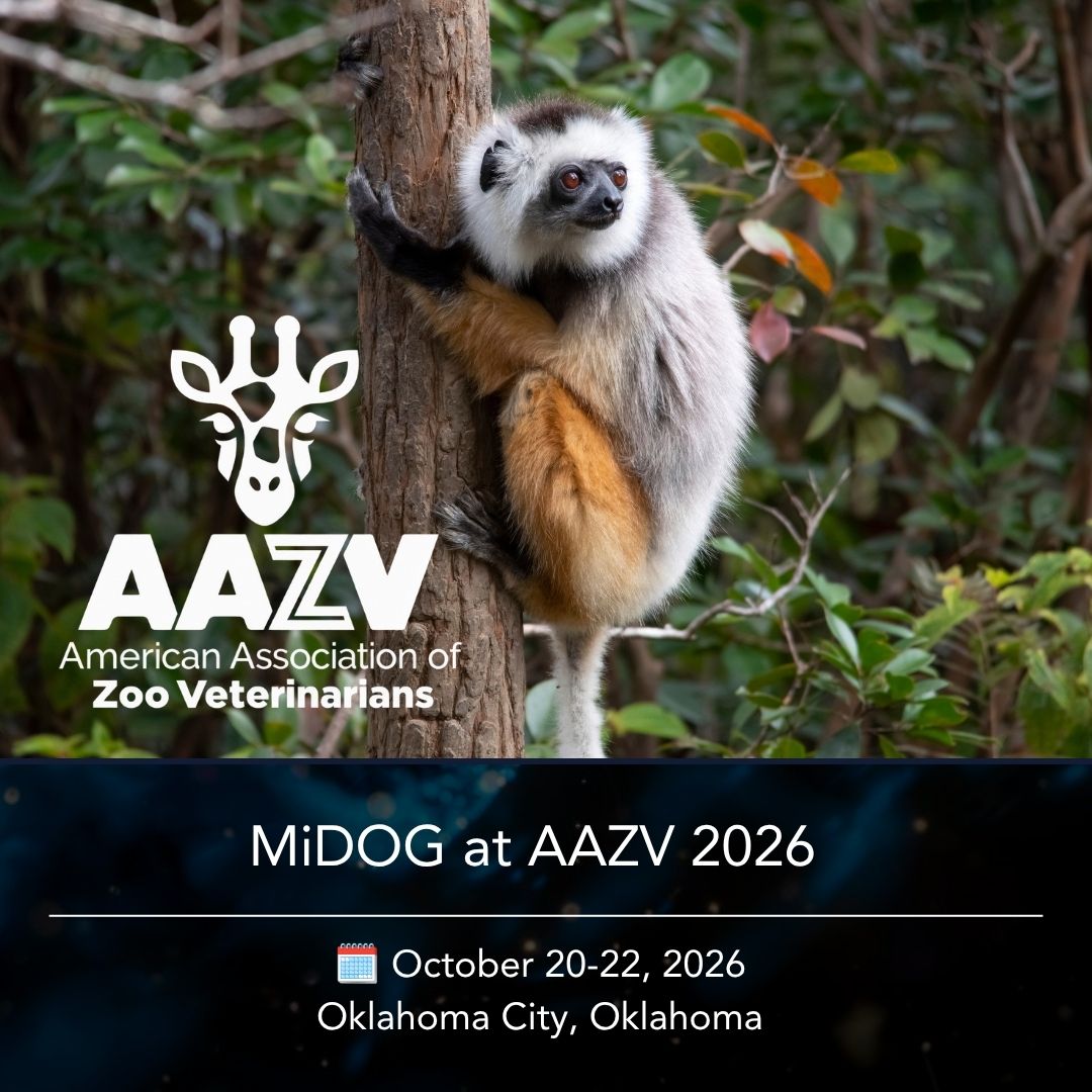 MiDOG at AAZV Annual Conference 2026