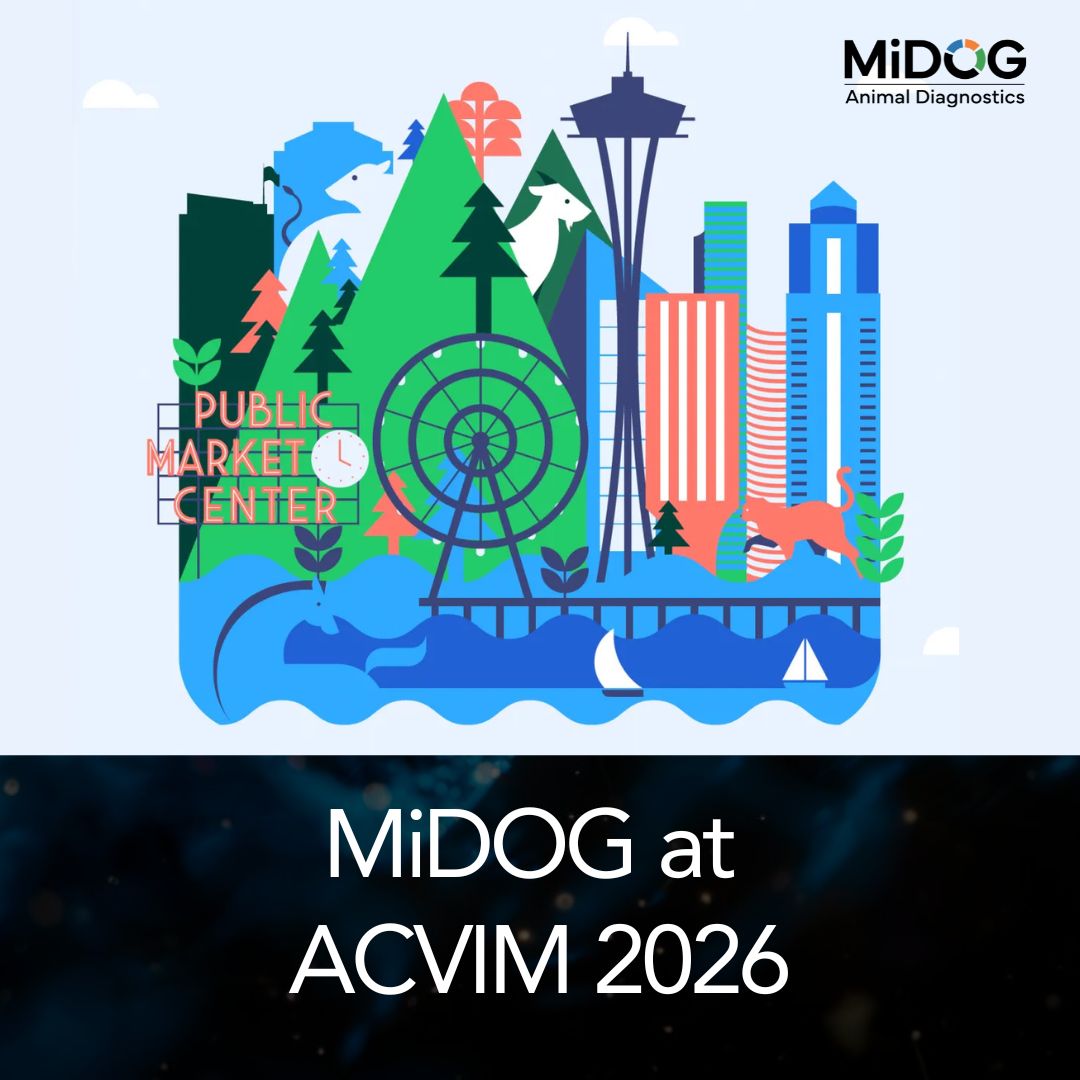 MiDOG at ACVIM Forum 2026 event graphic featuring Seattle landmarks and MiDOG branding for the veterinary internal medicine conference. Seattle skyline with waterfront views, representing MiDOG’s attendance at ACVIM Forum 2026 in Seattle, Washington.