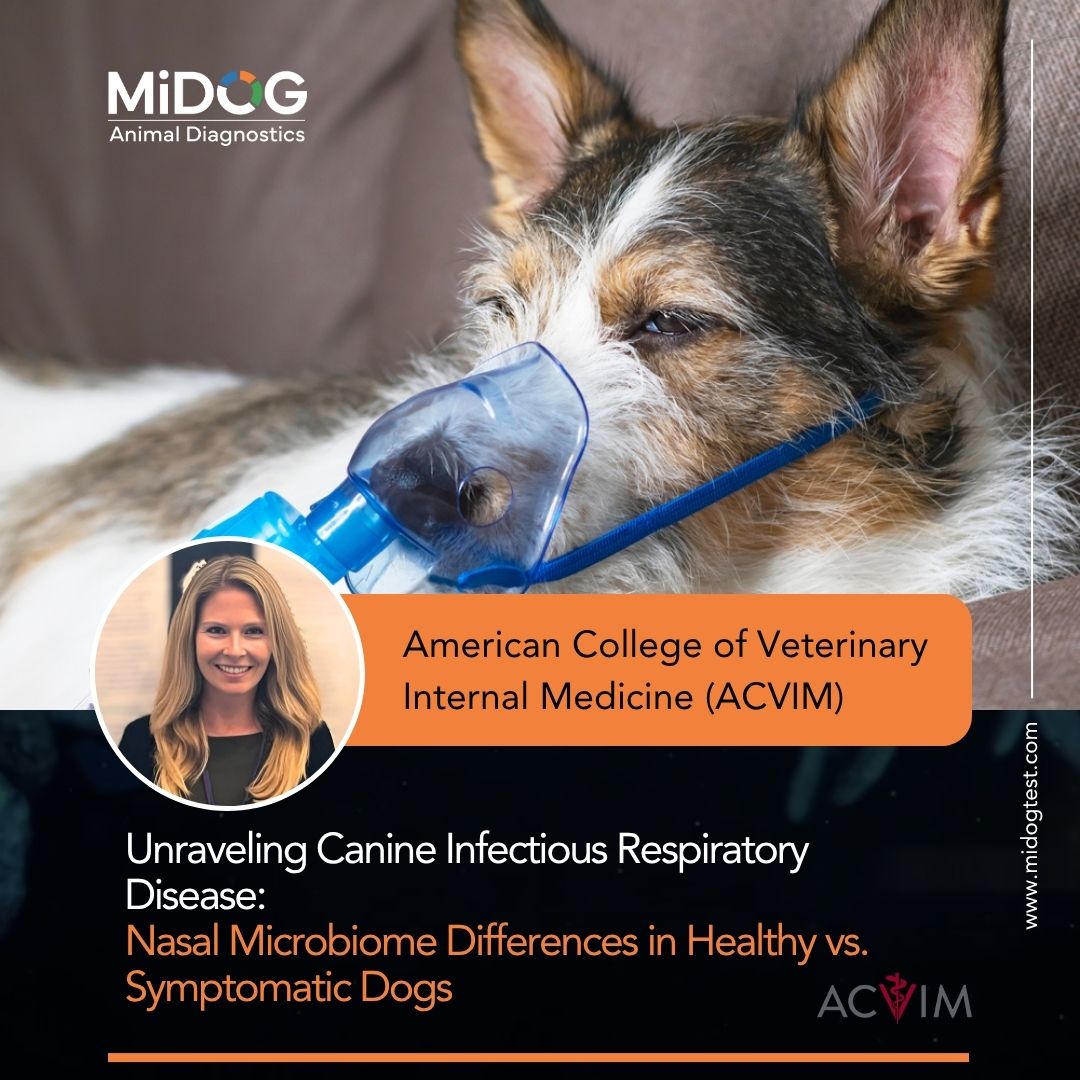 ACVIM Featured Image