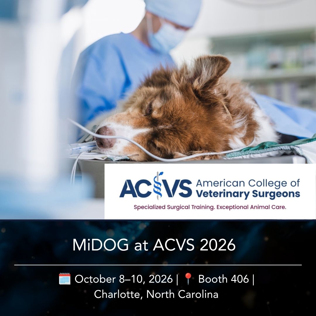 MiDOG at ACVS Surgery Summit 2026