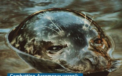Harnessing Next-Generation Sequencing to Combat Aeromonas veronii Infections in Marine Mammals Exposed to Contaminated Water