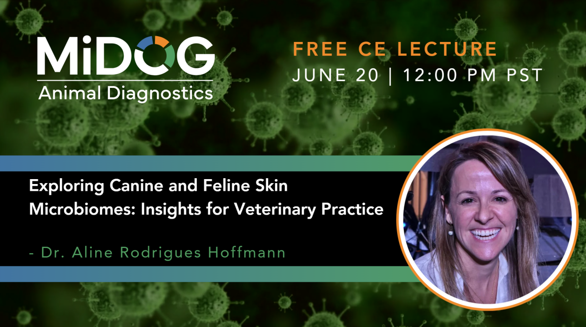 Exploring Canine and Feline Skin Microbiomes: Insights for Veterinary ...