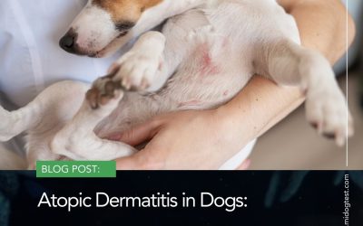 Atopic Dermatitis in Dogs: Microbiota Disruption and the Transformative Role of Next-Generation Sequencing