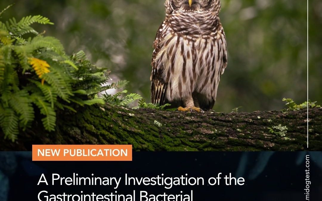 A Preliminary Investigation of the Gastrointestinal Bacterial Microbiomes of Barred Owls (Strix varia) Admitted to a Wildlife Hospital