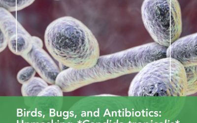 Birds, Bugs, and Antibiotics: Unmasking *Candida tropicalis* in Feathered Friends Near Farms & Livestock – What Pet Owners and Vets Should Know