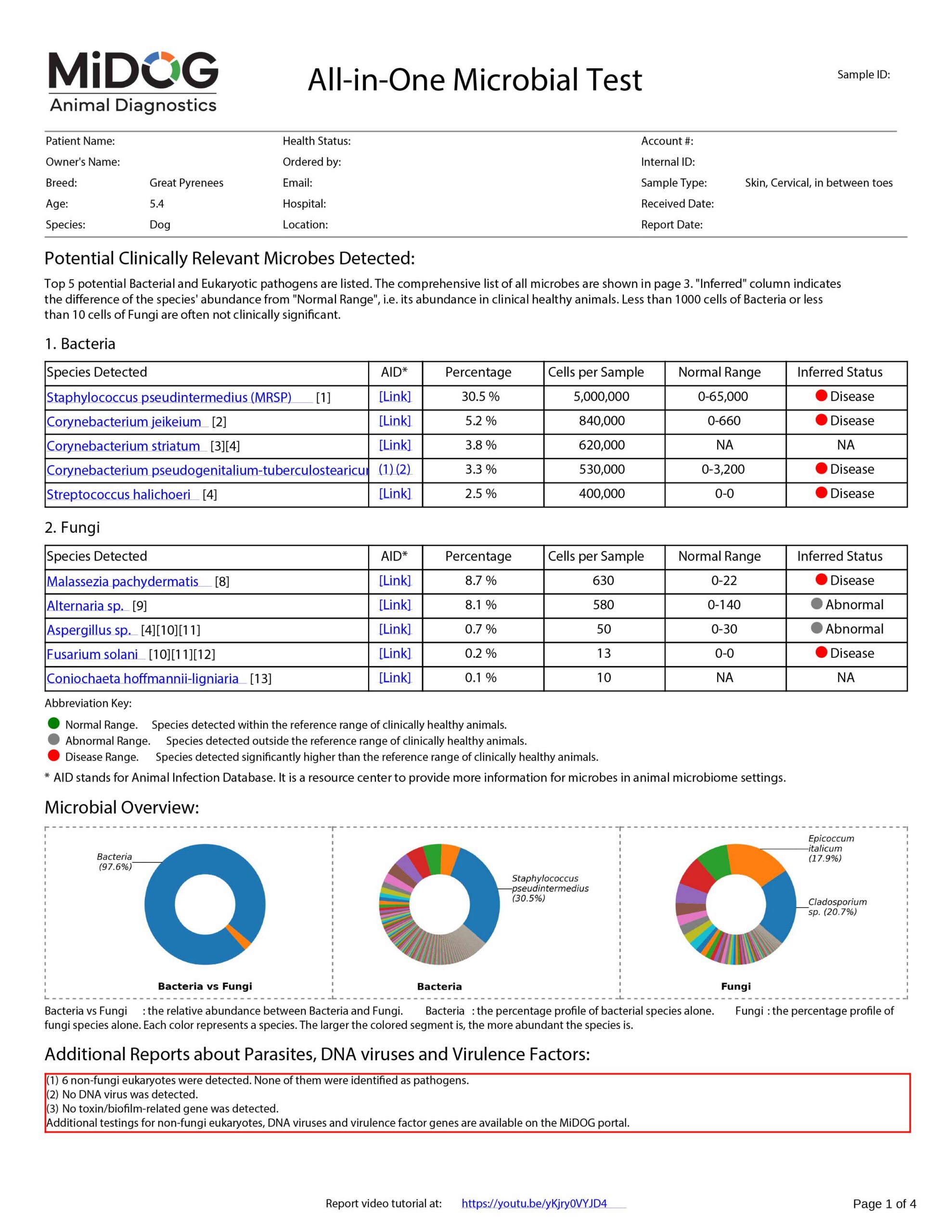 Canine Dermatitis Example Report | MiDOG All-in-One Microbial Test