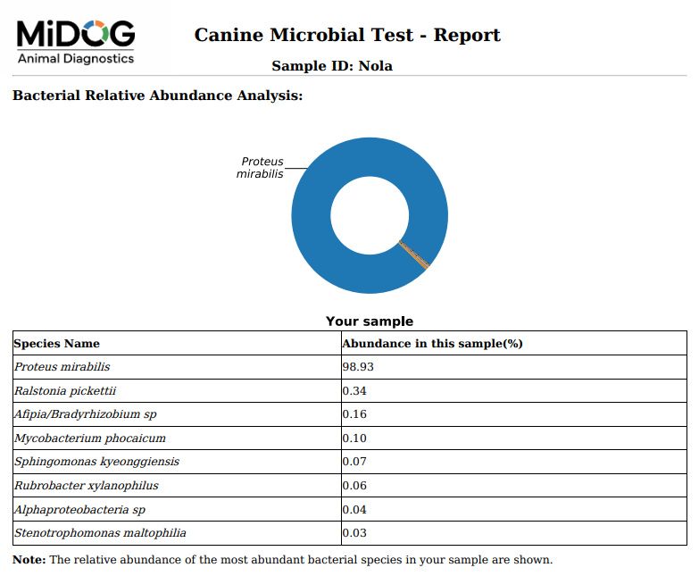 Canine Microbial Test Report