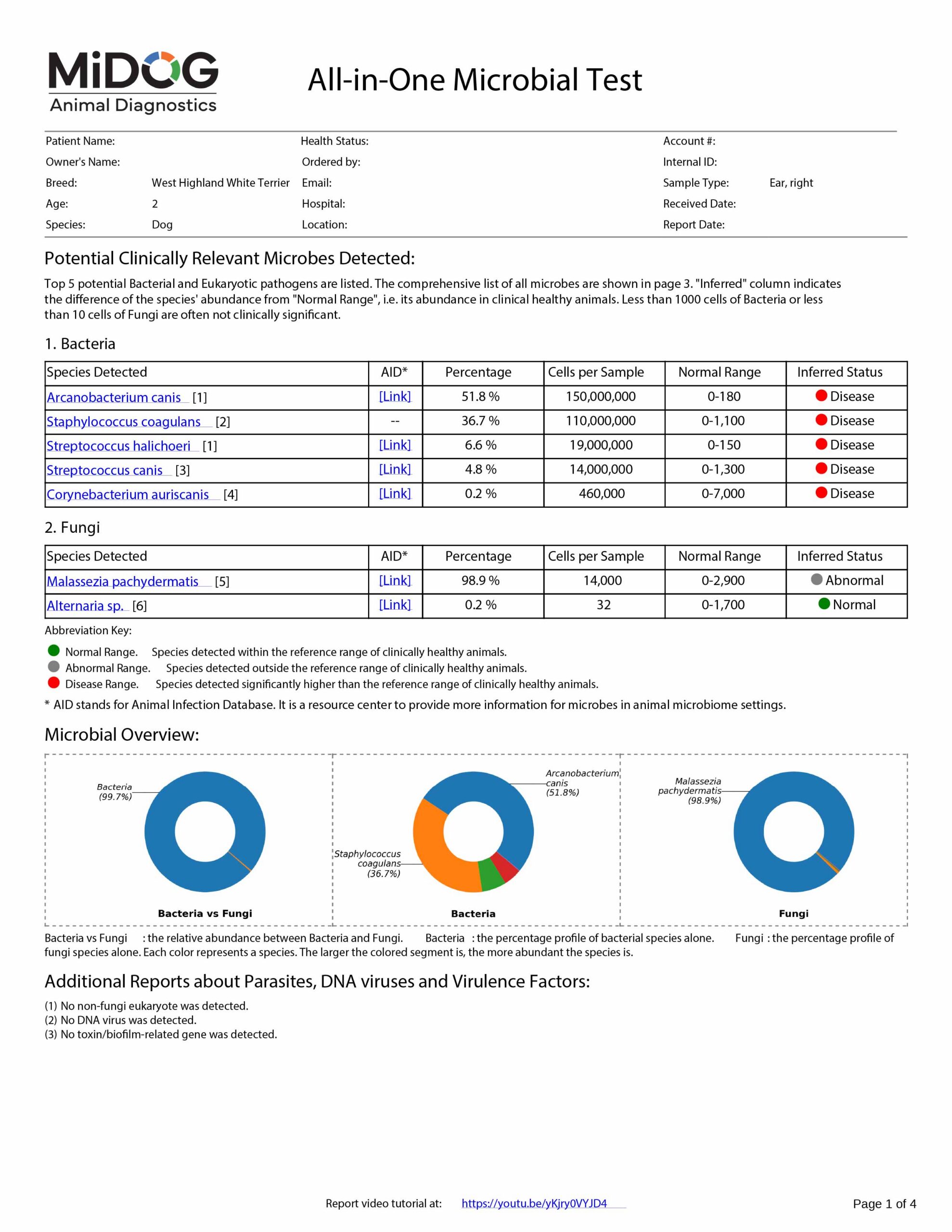Canine Otitis Example Report | MiDOG All-in-One Microbial Test Example MiDOG All-in-One Microbial Test report for a West Highland White Terrier ear sample, showing clinically relevant bacteria and fungi, inferred disease status, microbial overview charts, and additional report findings for parasites, DNA viruses, and virulence factors.
