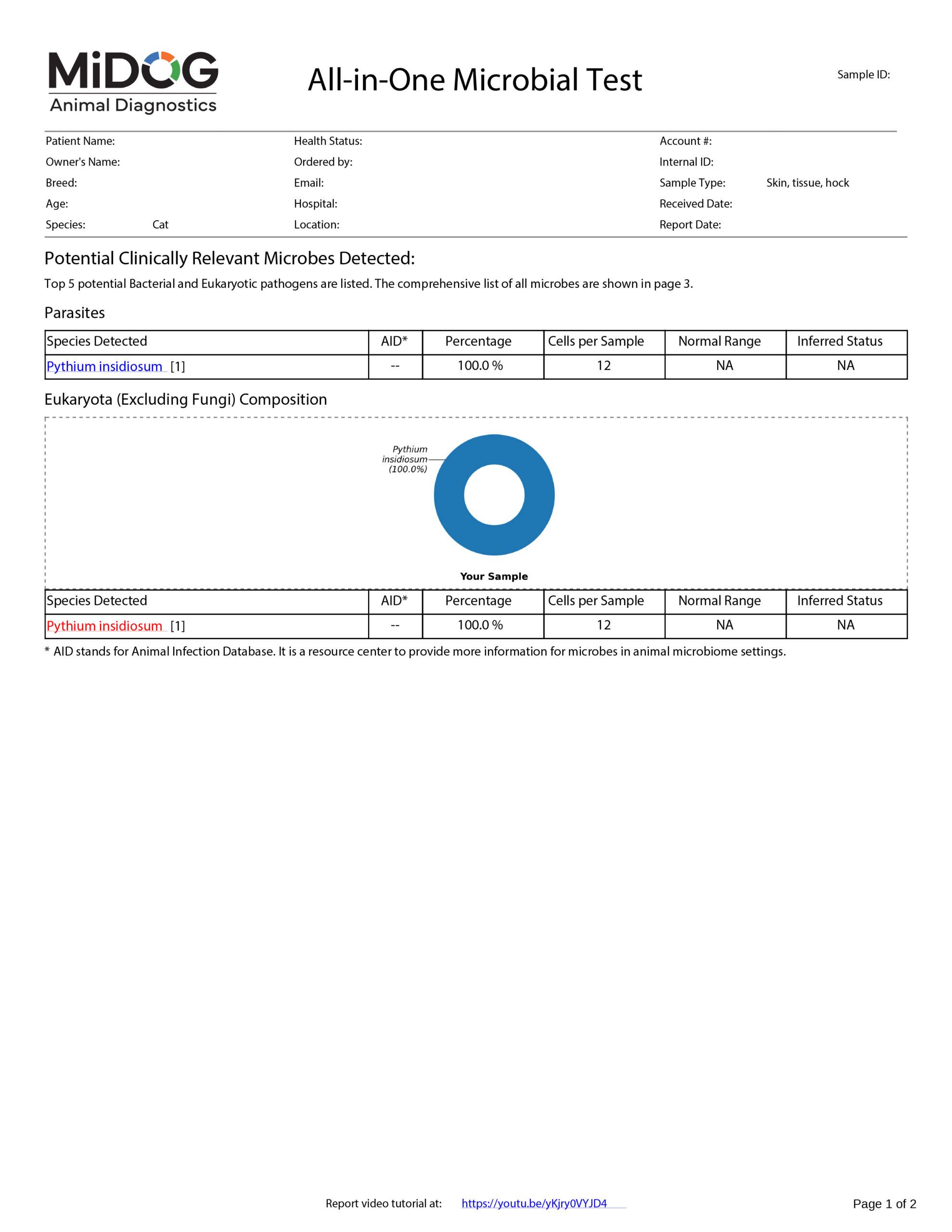 Cat Example MiDOG Report Example MiDOG All-in-One Microbial Test report showing parasite detection results for a cat sample, including Pythium insidiosum.