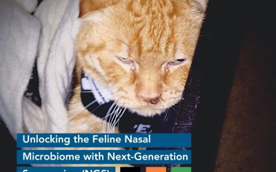 Unlocking the Feline Nasal Microbiome with Next-Generation Sequencing (NGS): A New Frontier in Treating Respiratory Illnesses