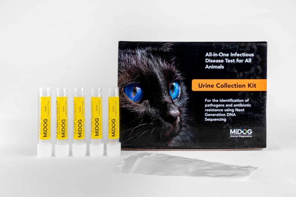 MiDOG urine collection kit for next-generation sequencing testing of feline urinary tract infections in cats.