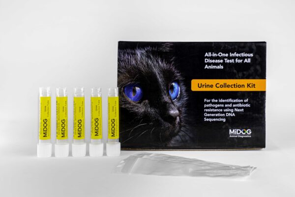 MiDOG urine collection kit with labeled sample tubes, collection bag, and branded test kit box featuring a black cat with blue eyes.