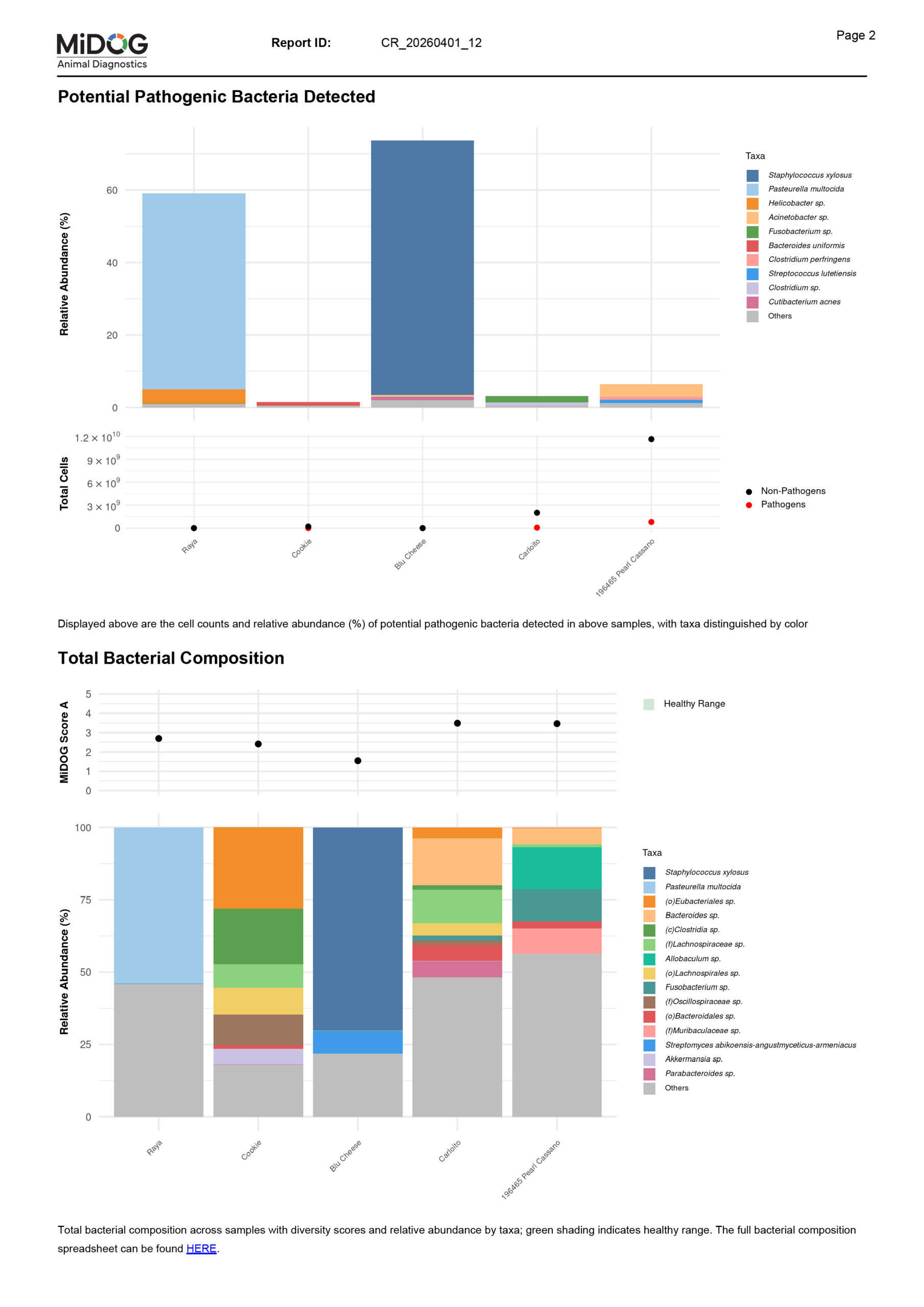 MiDOG Comparison Report Example Example MiDOG Comparison Report page showing side-by-side microbial data across multiple samples, including potential pathogenic bacteria detected, total bacterial composition, relative abundance by taxa, and comparative trend points used to evaluate differences between animals, sites, or environmental sources.