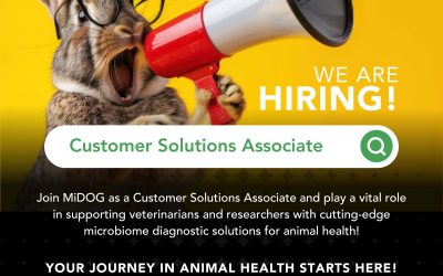 Careers at MiDOG – Customer Solutions Associate