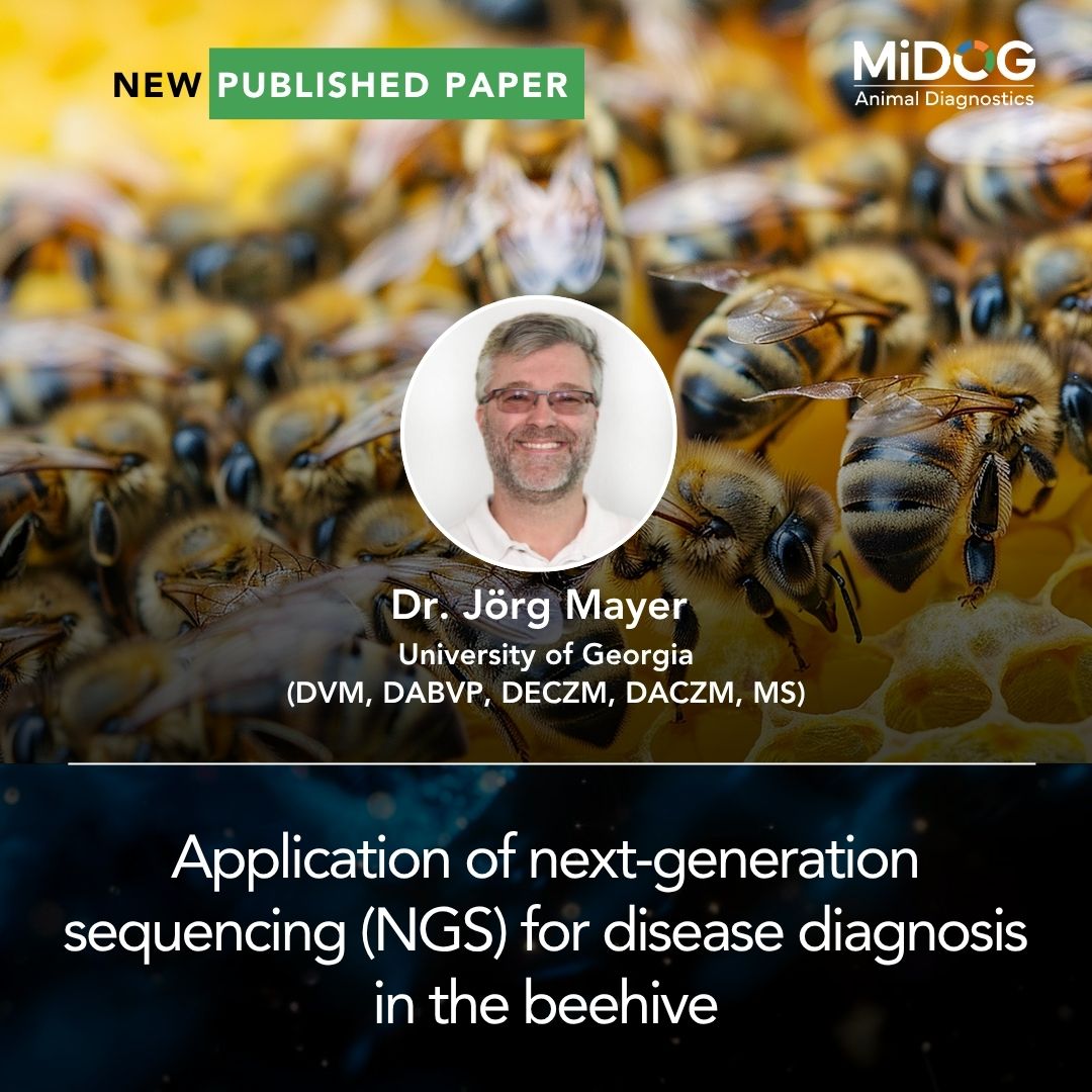 NGS for Honey Bee Disease Diagnosis