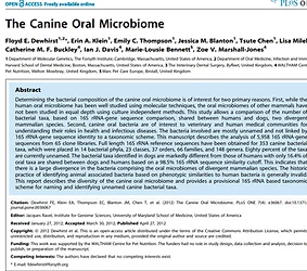 Discovery of novel canine oral bacteria with the help of NGS