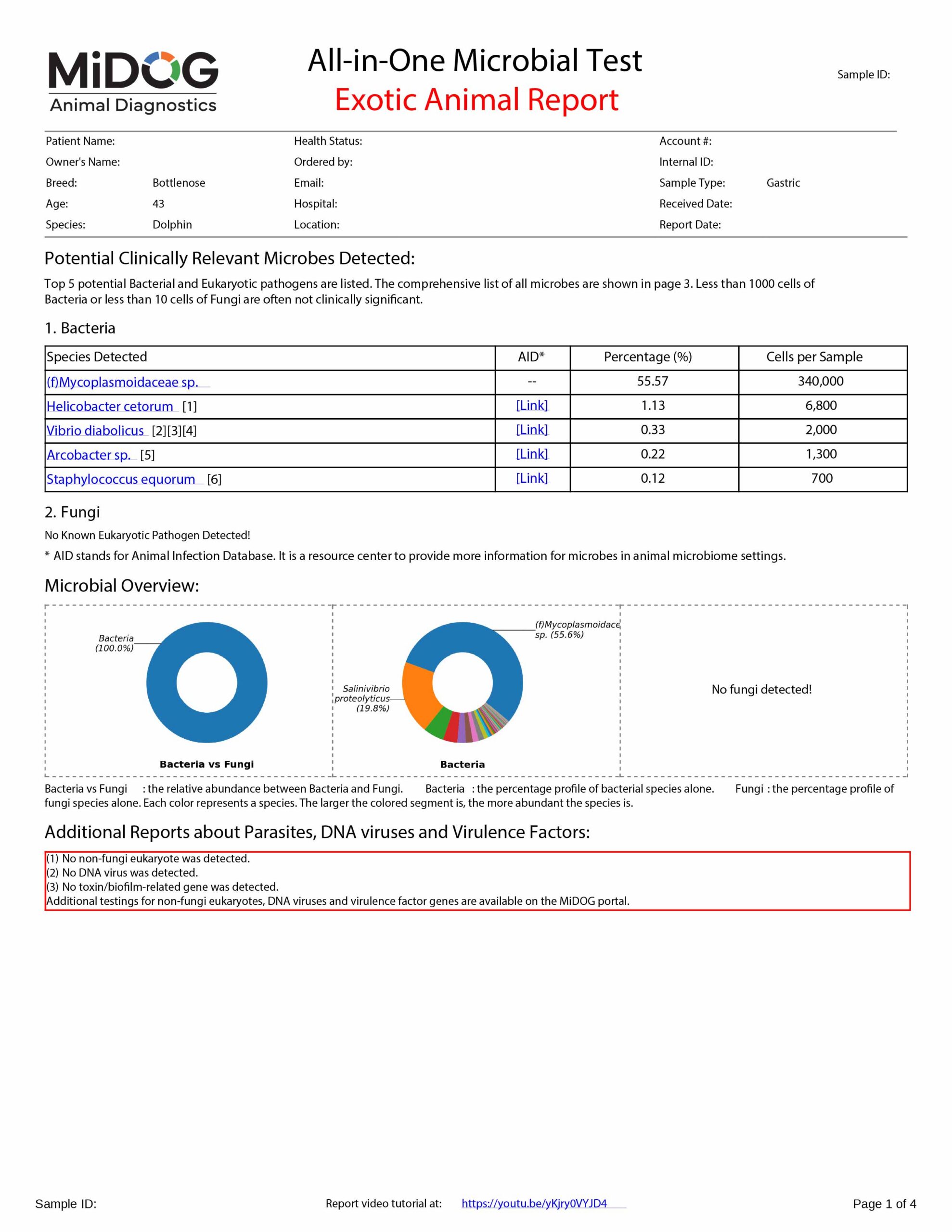 Bottlenose Dolphin Gastric Example Report | MiDOG Exotic Animal Report Example MiDOG All-in-One Microbial Test report for a bottlenose dolphin gastric sample, showing clinically relevant bacterial findings, microbial overview charts, and additional report findings for parasites, DNA viruses, and virulence factors.